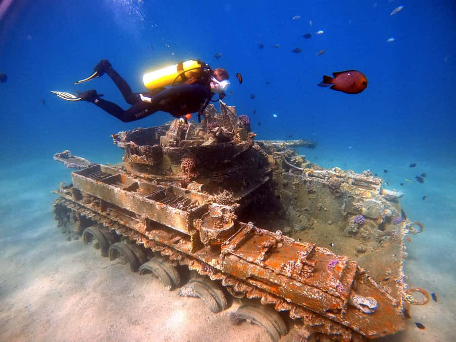 Aqaba: Private Red Sea Diving for Beginner or Experienced - Five Things That Matter Before You Book