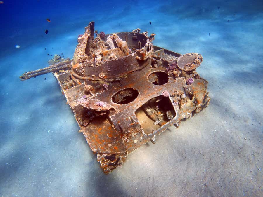 Aqaba: Private Red Sea Diving for Beginner or Experienced - Preparation, Equipment, and the Safety Briefing