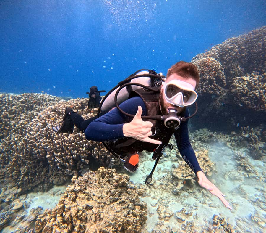 Aqaba: Private Red Sea Diving for Beginner or Experienced - How the Guides Handle First-Timers