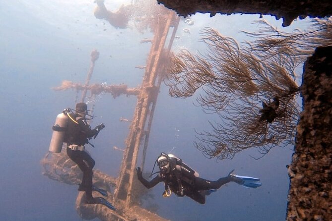 Aqaba Private Scuba Diving Activity with Pick Up - Why Aqaba works so well for a first underwater outing
