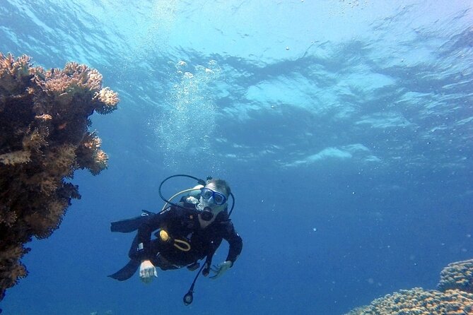 Aqaba Private Scuba Diving Activity with Pick Up - What the $56.58 price really includes