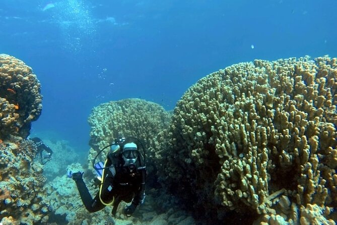 Aqaba Private Scuba Diving Activity with Pick Up - Pickup, paperwork, and getting fitted for gear