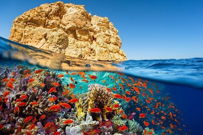 Aqaba Private Transfer to or from Dead Sea - What happens at pickup in Aqaba