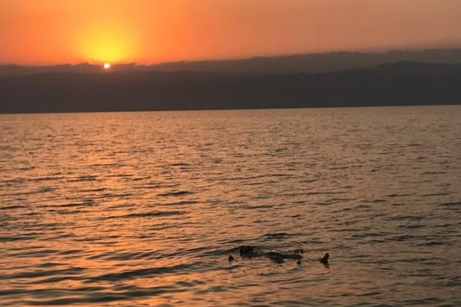 Aqaba Private Transfer to or from Dead Sea - The road trip itself: useful, but not a sightseeing program