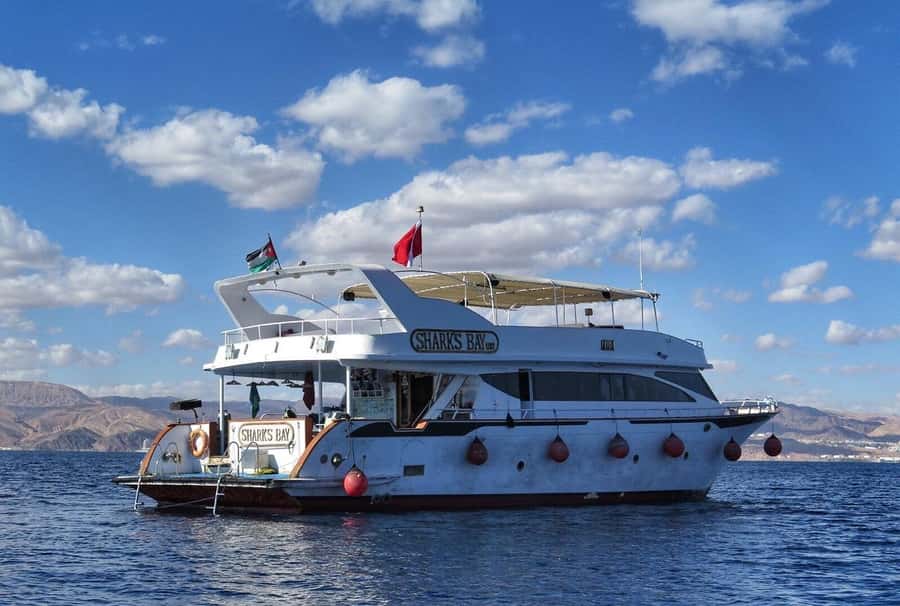 Aqaba: Red Sea Snorkeling Boat Trip with Buffet Lunch - What Aqaba’s coral gardens offer
