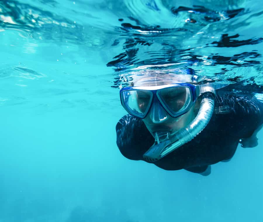 Aqaba: Snorkeling Adventure with Private Car & Guide -2 spot - First stop: clear water and coral close to shore