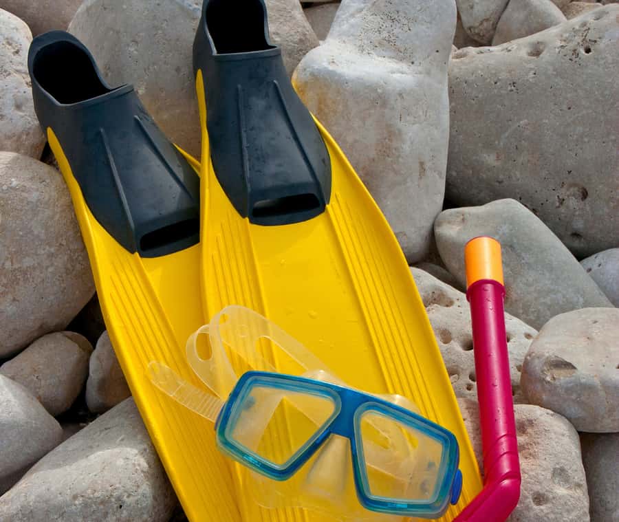 Aqaba: Snorkeling Adventure with Private Car & Guide -2 spot - The 30-minute transfer from Aqaba
