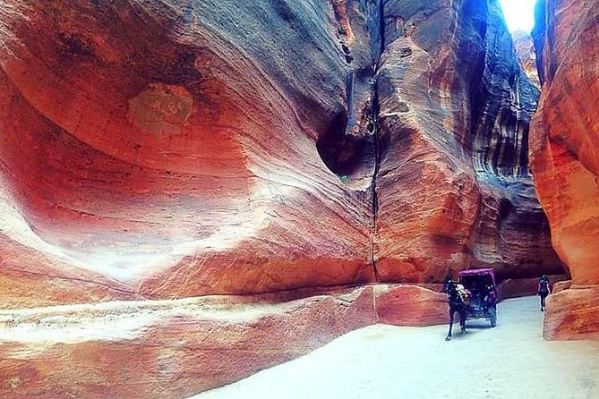 Best of Jordan in 7 Days (customizable) - Day 4: A long, serious day at Petra