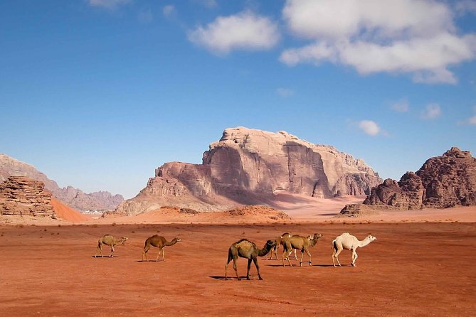 Best of Jordan Tour Amman Petra and Dead Sea with Camping at Wadi Rum - Floating at the Dead Sea