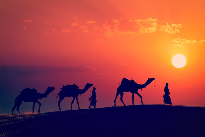 Best of Wadi Rum | Full day Jeep tour + Sleep under the stars | Pack all-in - Food and drinks are covered, but ask about meal style