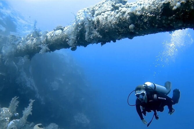 Boat Dive 2 Guided Dives with Lunch Included wreck dive&reef dive - The first session: a wreck site with a sense of discovery