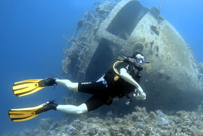 Boat Dive 2 Guided Dives with Lunch Included wreck dive&reef dive - Who will enjoy this trip most?