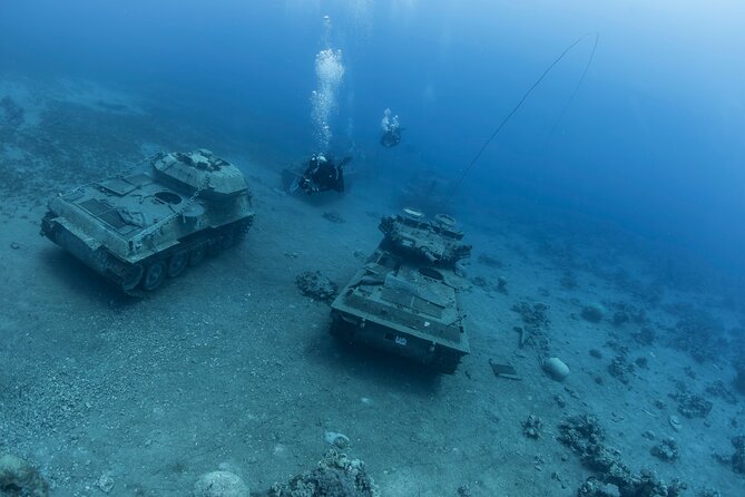 Boat Dive and Snorkeling Experience in Aqaba - Snorkeling Without Extra Rental Hassle