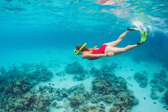 Boat Dive and Snorkeling Experience in Aqaba - A Grilled Lunch With Sea Views