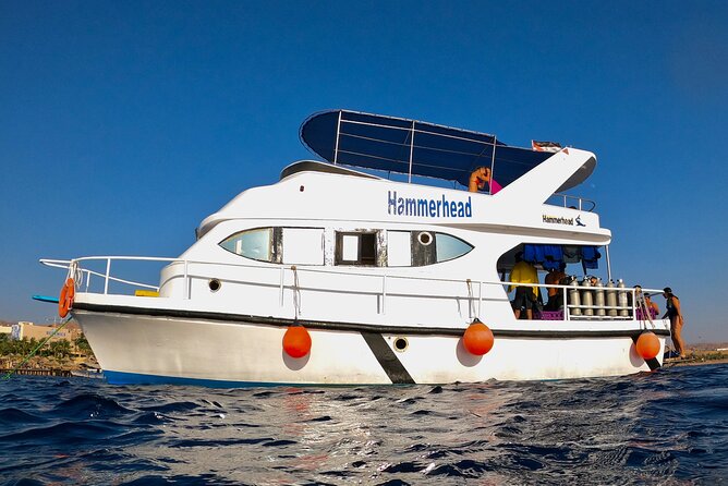 Boat Dive and Snorkeling Experience in Aqaba - One Scuba Session, One Snorkel Stop