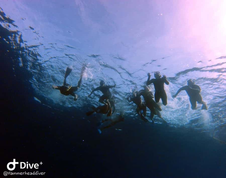 Boat snorkeling with open buffet BBQ 4-5 hours - First Water Stop: Coral Reef and Fish