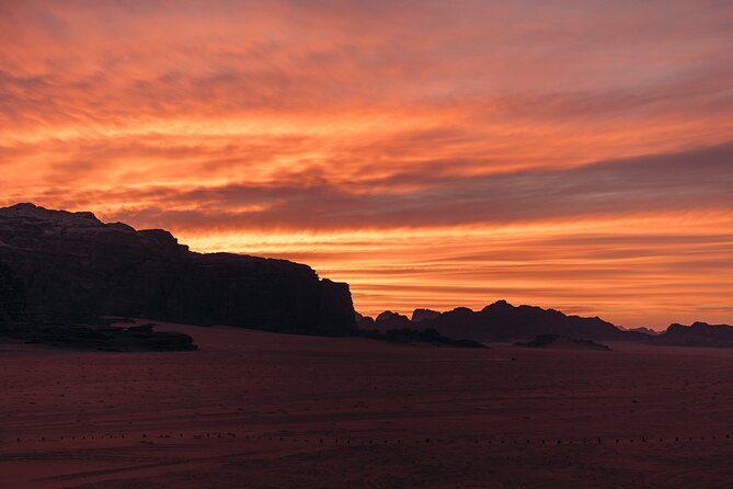 Camel Tours in Wadi Rum Desert | Magic Bedouin Star - Who Will Enjoy This Most?