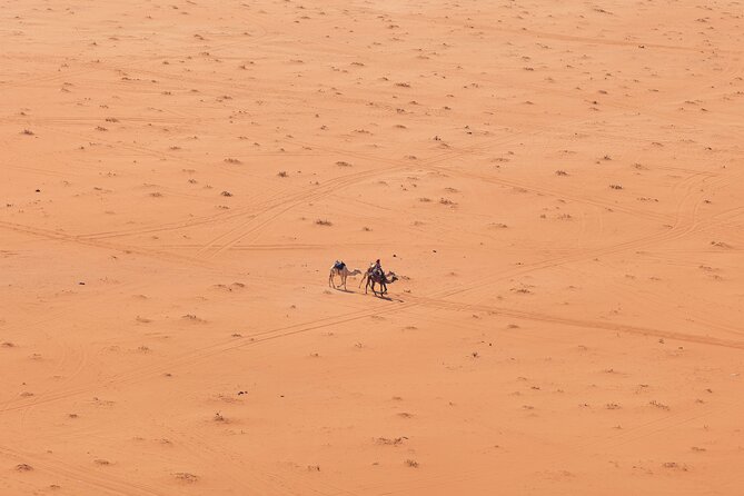 Camel Tours in Wadi Rum Desert | Magic Bedouin Star - Settling Onto the Ship of the Desert