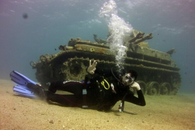 Cruise Experience Half-Day from Aqaba - Quick take: what makes this cruise worth considering