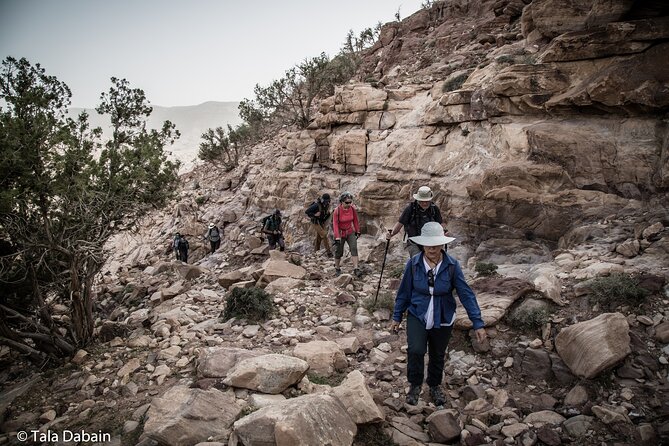 Dana to Petra Trek + Wadi Rum & the Dead Sea - 9 Days - Amman gives you a soft landing