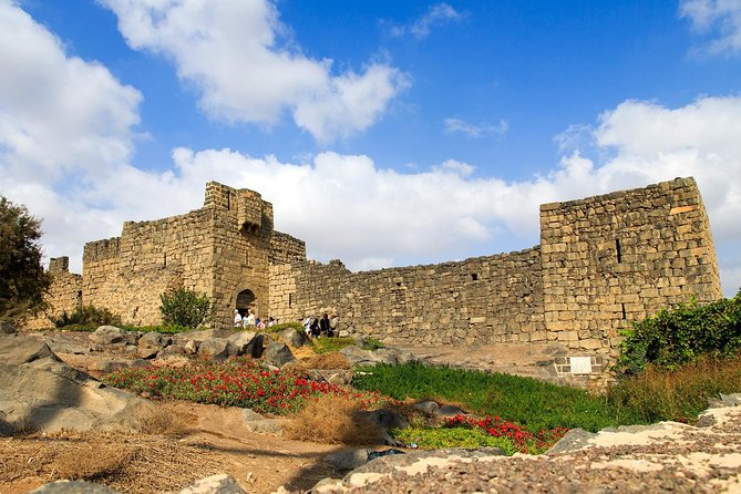 Day Tour Desert Castles & Azraq Wetland Reserve - Who will get the most from this outing