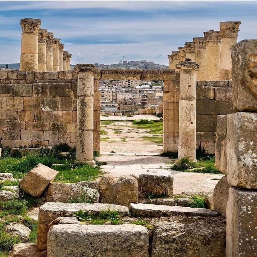 Day Tour Jerash - Ajloun and Um Qais From Amman - Who will get the most from this trip?