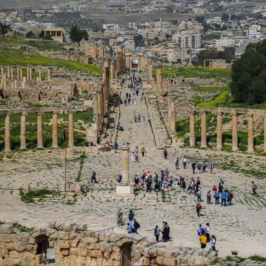 Day Tour Jerash - Ajloun and Um Qais From Amman - Ajloun Castle: a shorter visit with a different story