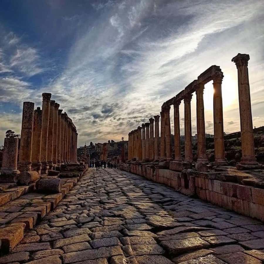 Day Tour Jerash - Ajloun and Um Qais From Amman - Price, flexibility, and the real value