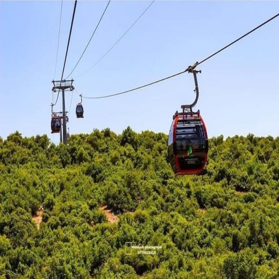 Day Tour Jerash - Ajloun and Um Qais From Amman - Which version should you choose?