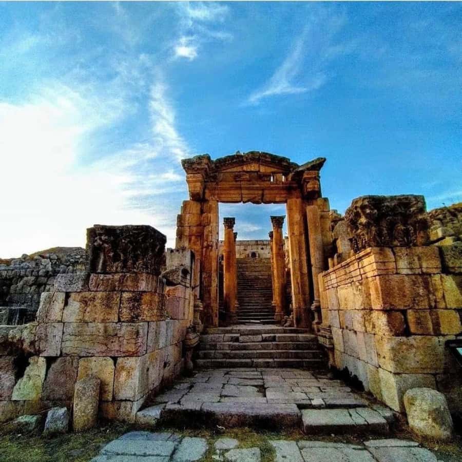 Day Tour Jerash and Amman City Tour From Amman - Who will enjoy this day most