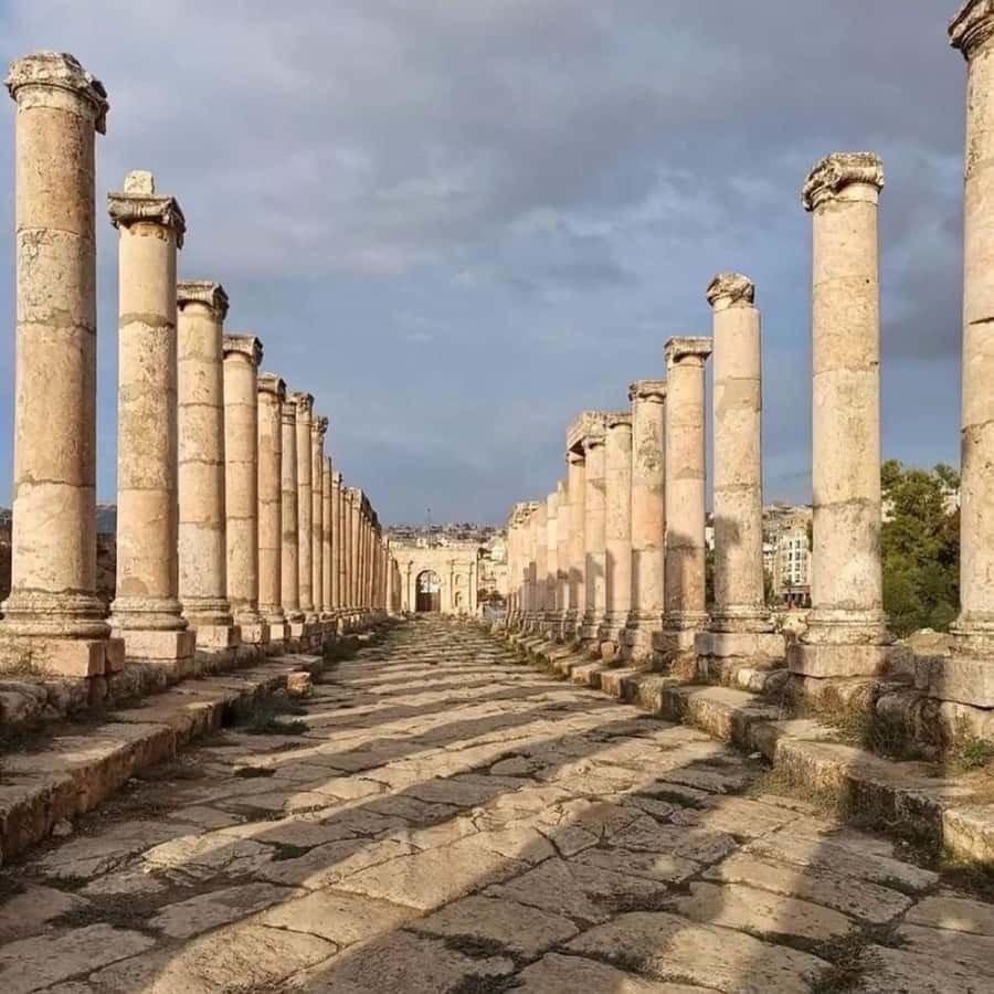 Day Tour Jerash and Amman City Tour From Amman - The drive north to Jerash