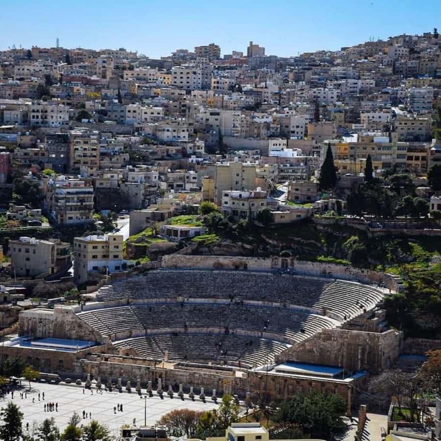 Day Tour Jerash and Amman City Tour From Amman - Why the local guide question matters