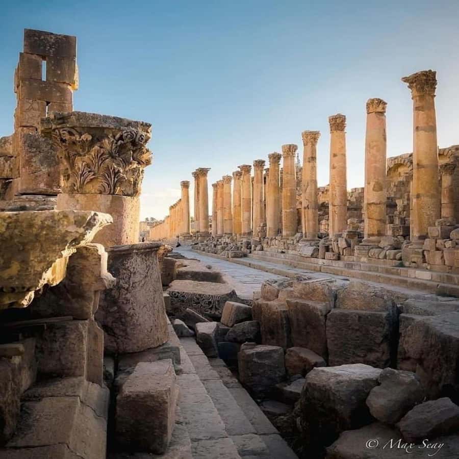 Day Tour Jerash and Amman City Tour From Amman - What $68 per person really gets you