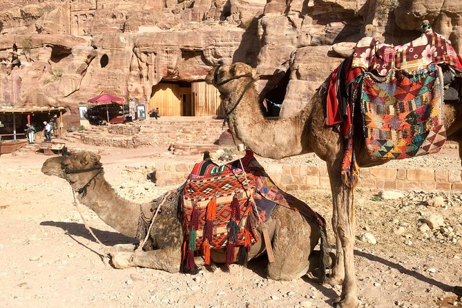 Day Tour to Petra from Aqaba - Five things to know before booking