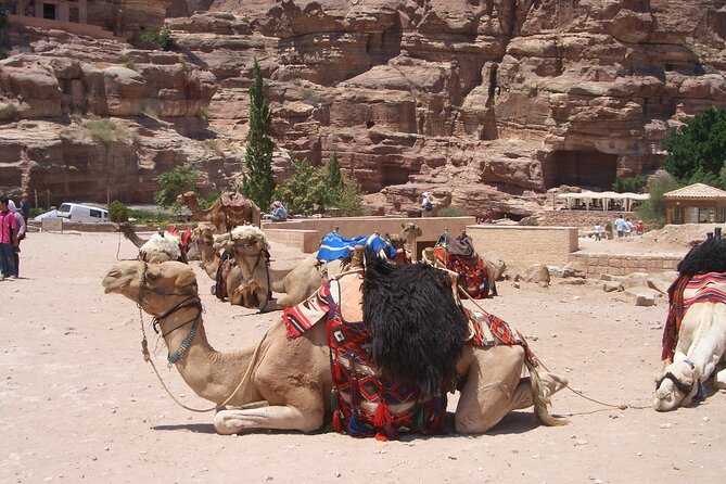 Day Tour to Petra from Dead Sea with lunch - What the $292 price really buys you