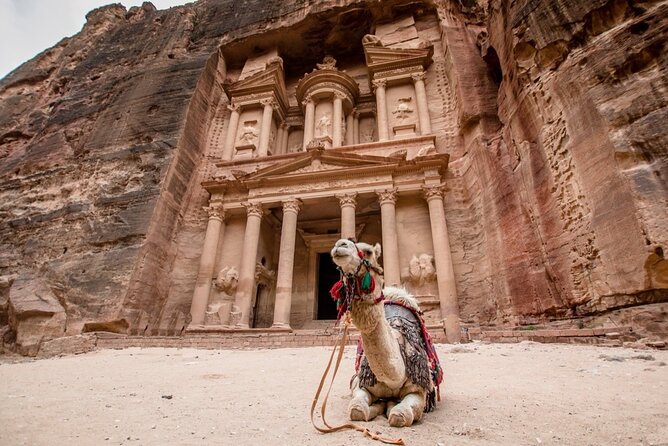 Dead Sea to Petra (private car) - Why a private Dead Sea to Petra transfer makes sense