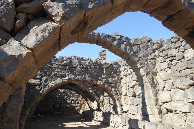 Desert Castles of Jordan Private Full-Day Tour from Amman - What the driver service adds