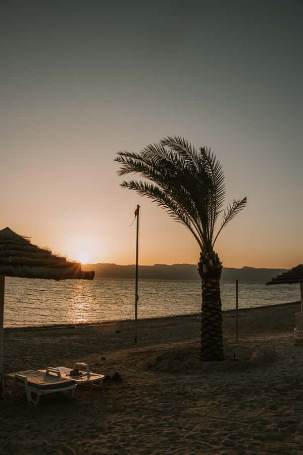 Discover Aqaba in Style: A 3-h City Tour by Car with meal - What the three-hour timing really means