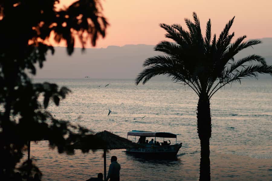 Discover Aqaba in Style: A 3-h City Tour by Car with meal - The private car, guide, and comfort level