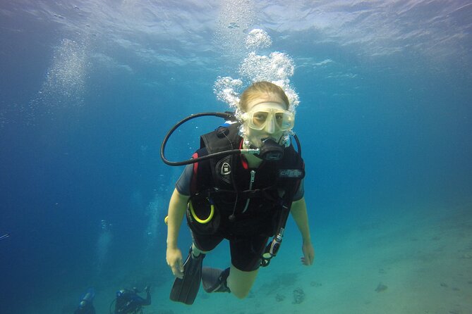 Discover the Depths: Aqaba's Ultimate private Dive Experience - A First Look at Scuba in Aqaba