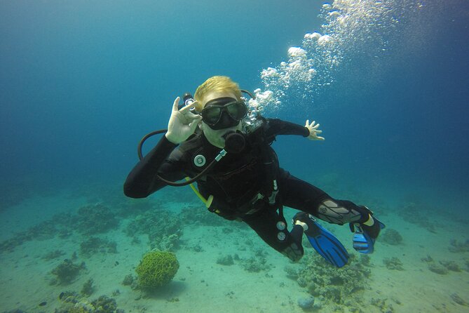 Discover the Depths: Aqaba's Ultimate private Dive Experience - From South Beach to Seven Sisters and the Tank