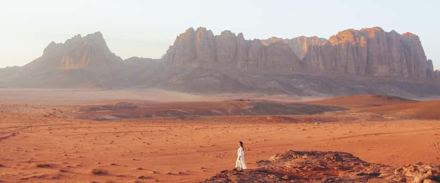 Discover the wonders of Jordan on a private day trip - Who should book this day trip?