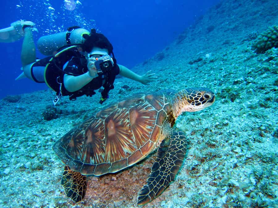 DSD Discover Scuba Diving for a beginner or Certified - Underwater photos give the experience a lasting finish