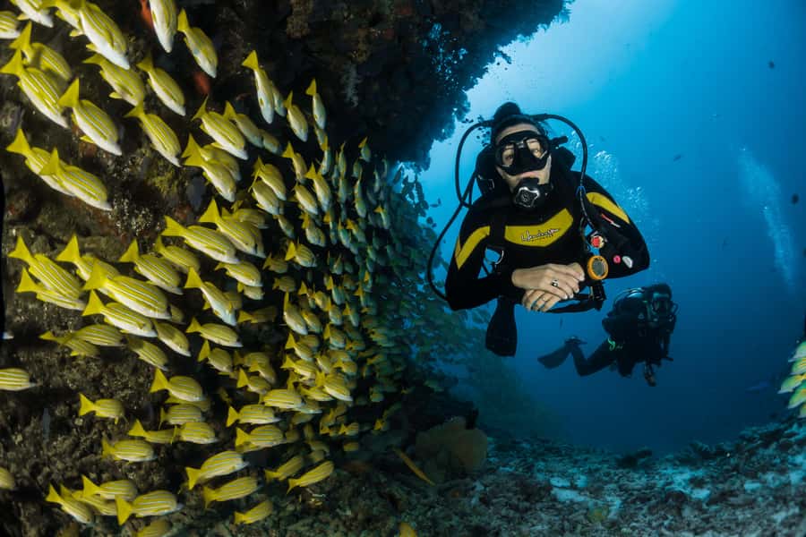 DSD Discover Scuba Diving for a beginner or Certified - Hotel pickup begins the outing in Aqaba