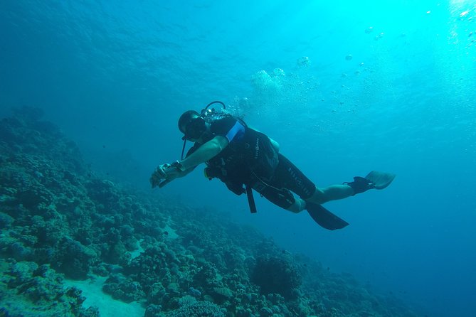 DSD "Discover Scuba Diving" (Min Age 10 Years) - Who should book this experience