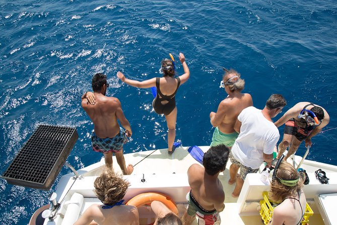 Experience Jordan Group Tour - 8 Days - Aqaba adds coral, swimming, and a different Jordan