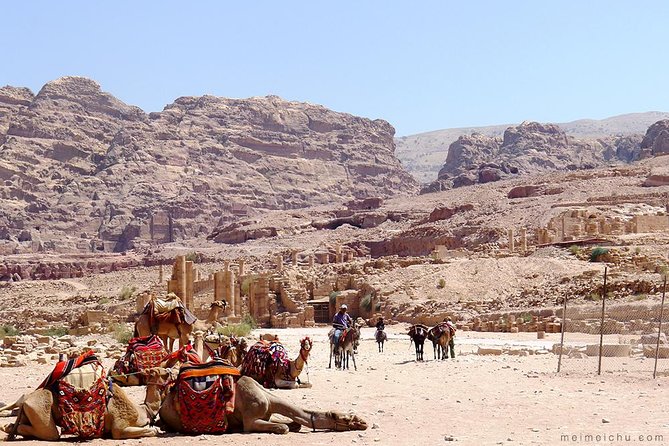 Experience Petra & Wadi Rum in One Day From Amman - Two hours in Wadi Rum by 4x4 Jeep