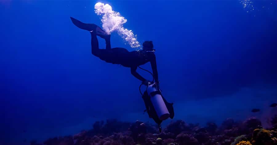 Explore Aqaba's Depths: Scuba Diving Tour, with Hotel Pickup - Key points to know before you book
