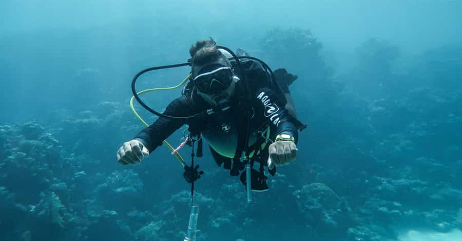 Explore Aqaba's Depths: Scuba Diving Tour, with Hotel Pickup - Why Aqaba works so well for a first scuba session