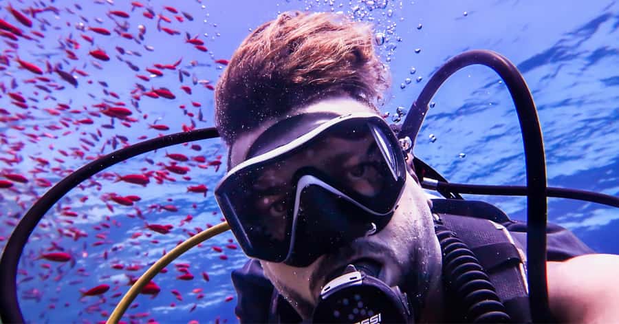 Explore Aqaba's Depths: Scuba Diving Tour, with Hotel Pickup - Returning to Aqaba after tea and photos
